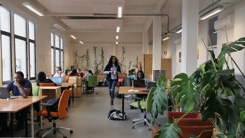 Bright open-plan office with a dozen desks, chairs and plants